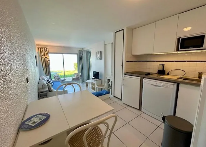 En Bord De Avec Jardin, Parking Et Animaux Acceptes A - Fr-1-494-63 公寓 鲁瓦扬