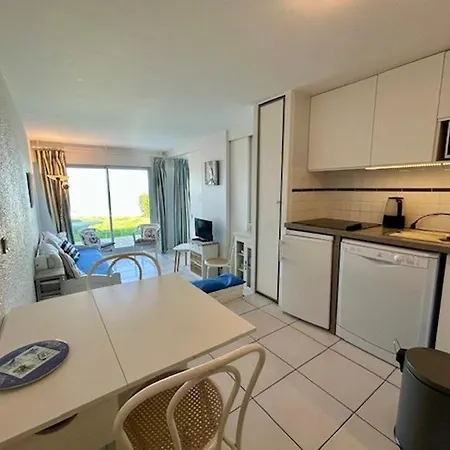 En Bord De Avec Jardin, Parking Et Animaux Acceptes A - Fr-1-494-63 Daire Royan