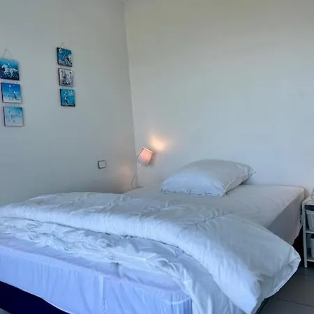 En Bord De Avec Jardin, Parking Et Animaux Acceptes A - Fr-1-494-63